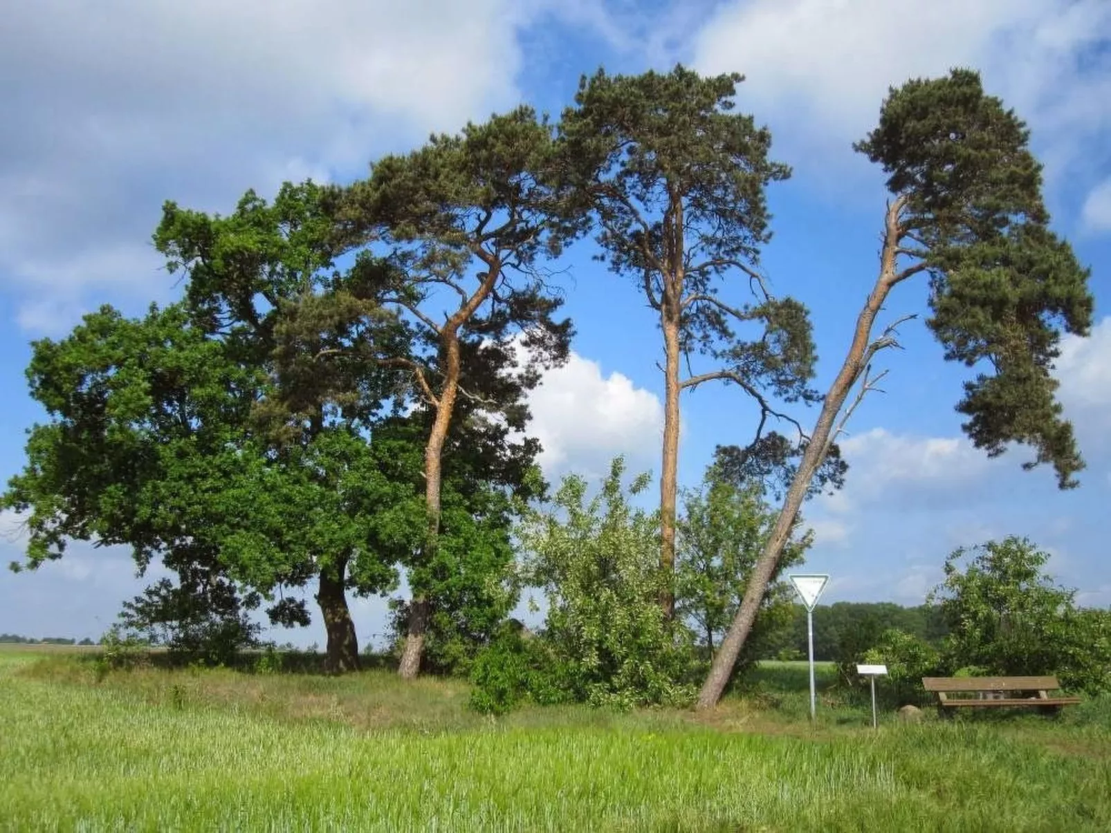 Für 2 Personen  + 2 Kinder ca. 65 m&sup2; in Mardorf, Niedersachsen (Steinhuder - Image-tags.info