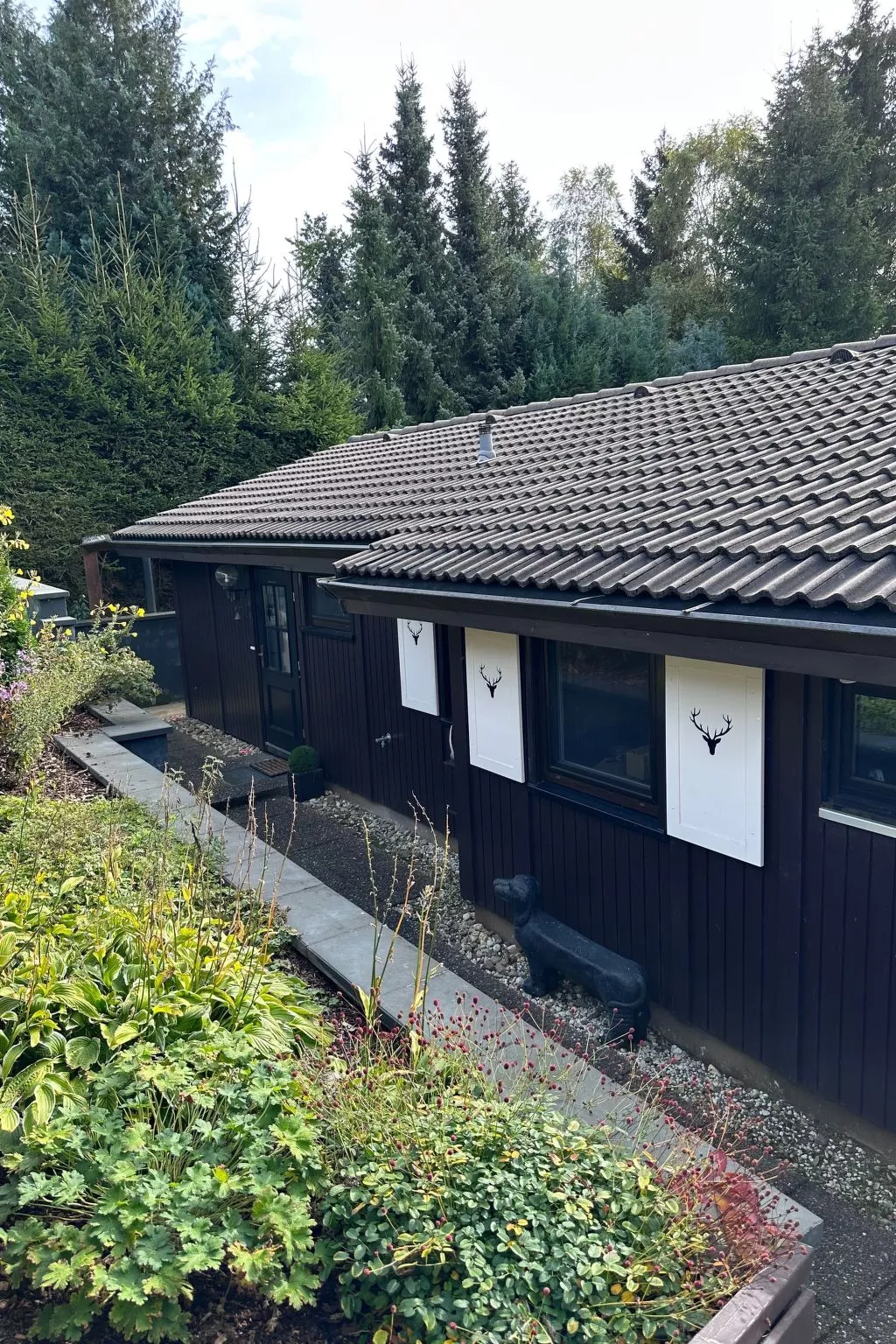 Bergwild - Image-tags.info