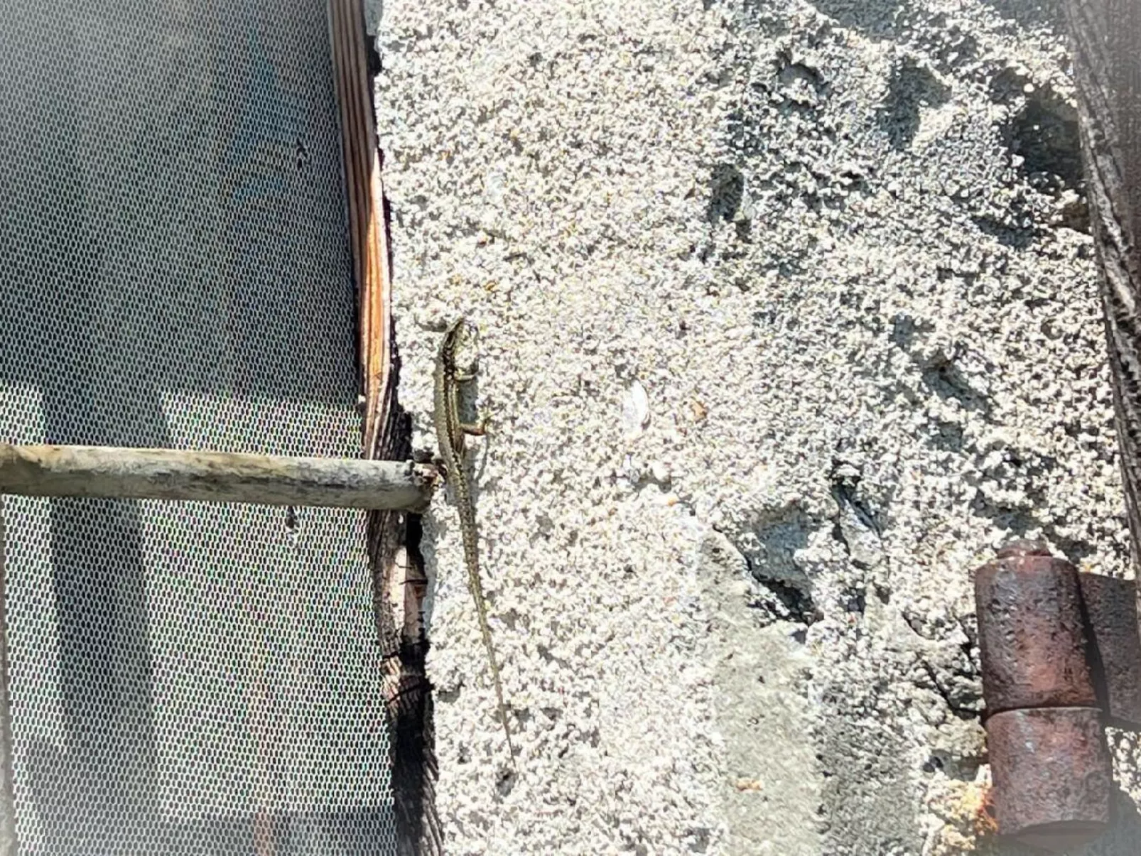 Rustico Eremo Rico - Image-tags.info