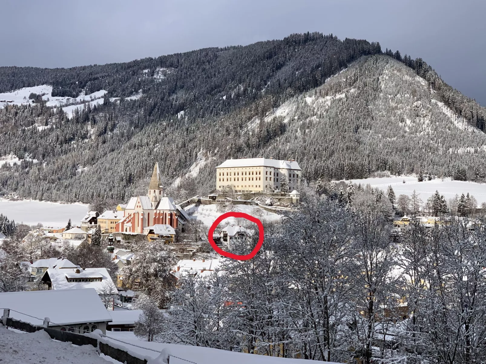 Chalet Elsa Murau - Draußen