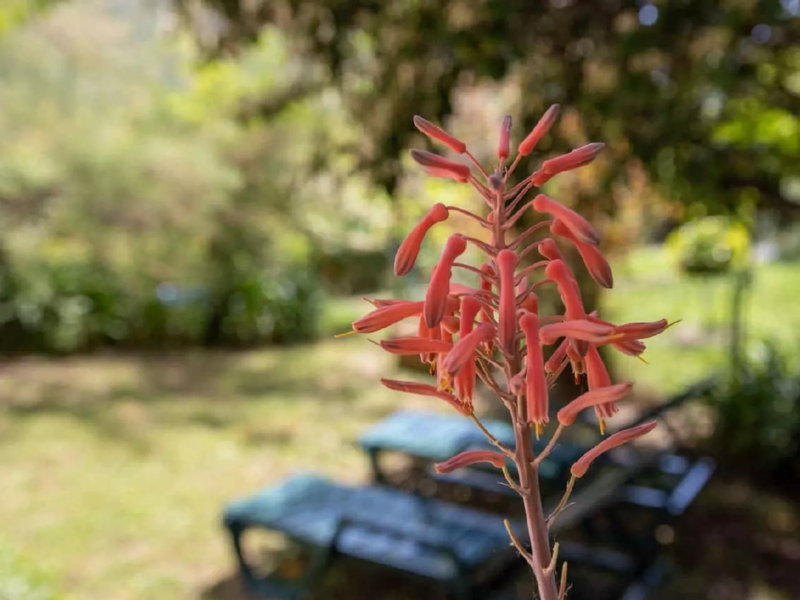 Appartement in Le Bar-Sur-Loup mit Eigenem Garten - Image-tags.info