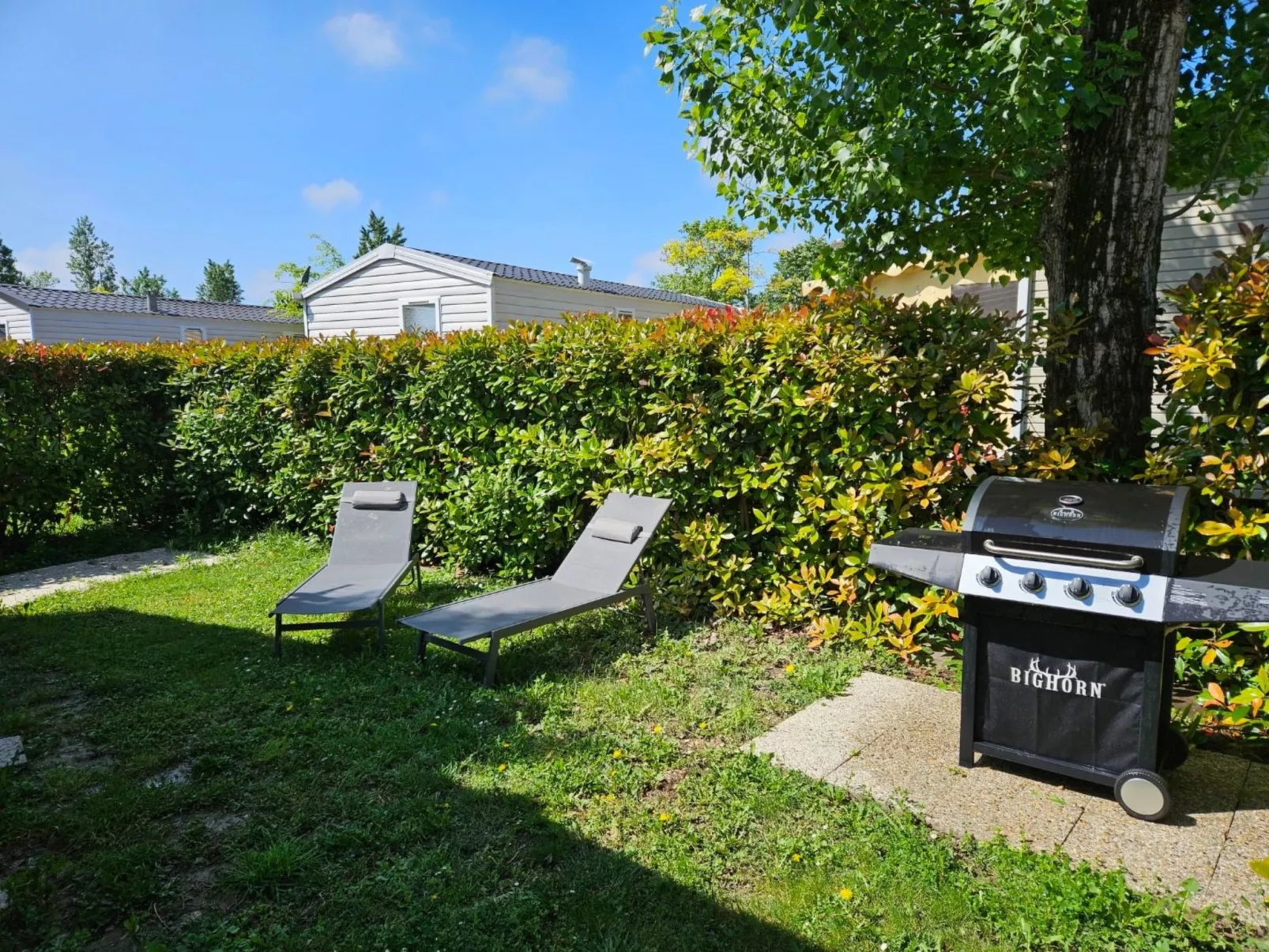 Die Ufer der Rhone - Image-tags.info