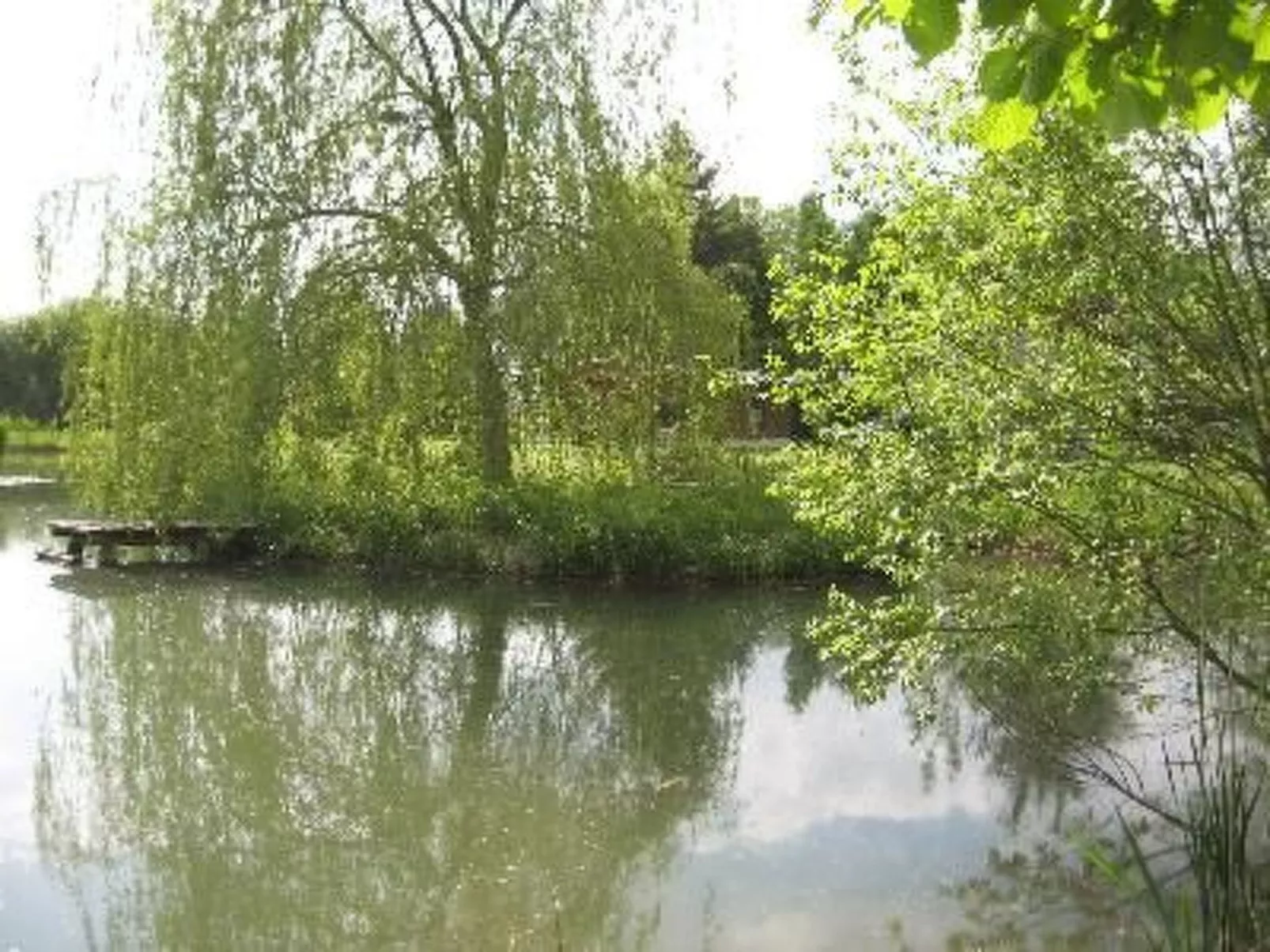 Mit naturnahen Badeteich - Image-tags.info