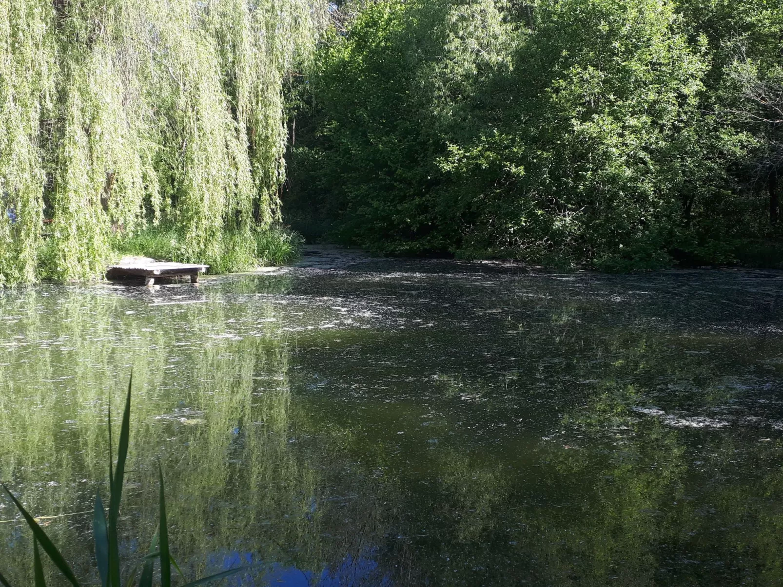 In Krimderode mit Grill, Whirlpool und Terrasse - Image-tags.info