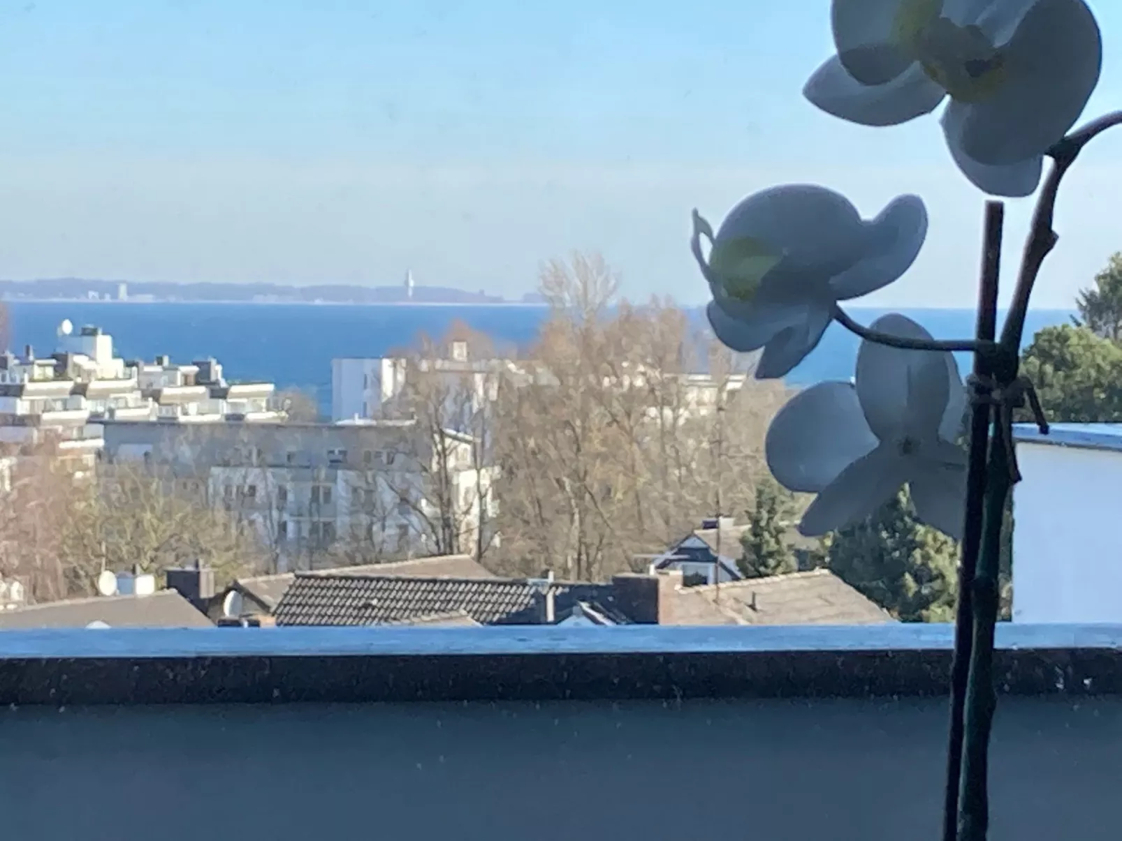 Gesamte Wohnung in Scharbeutz mit Großem Garten - Image-tags.info