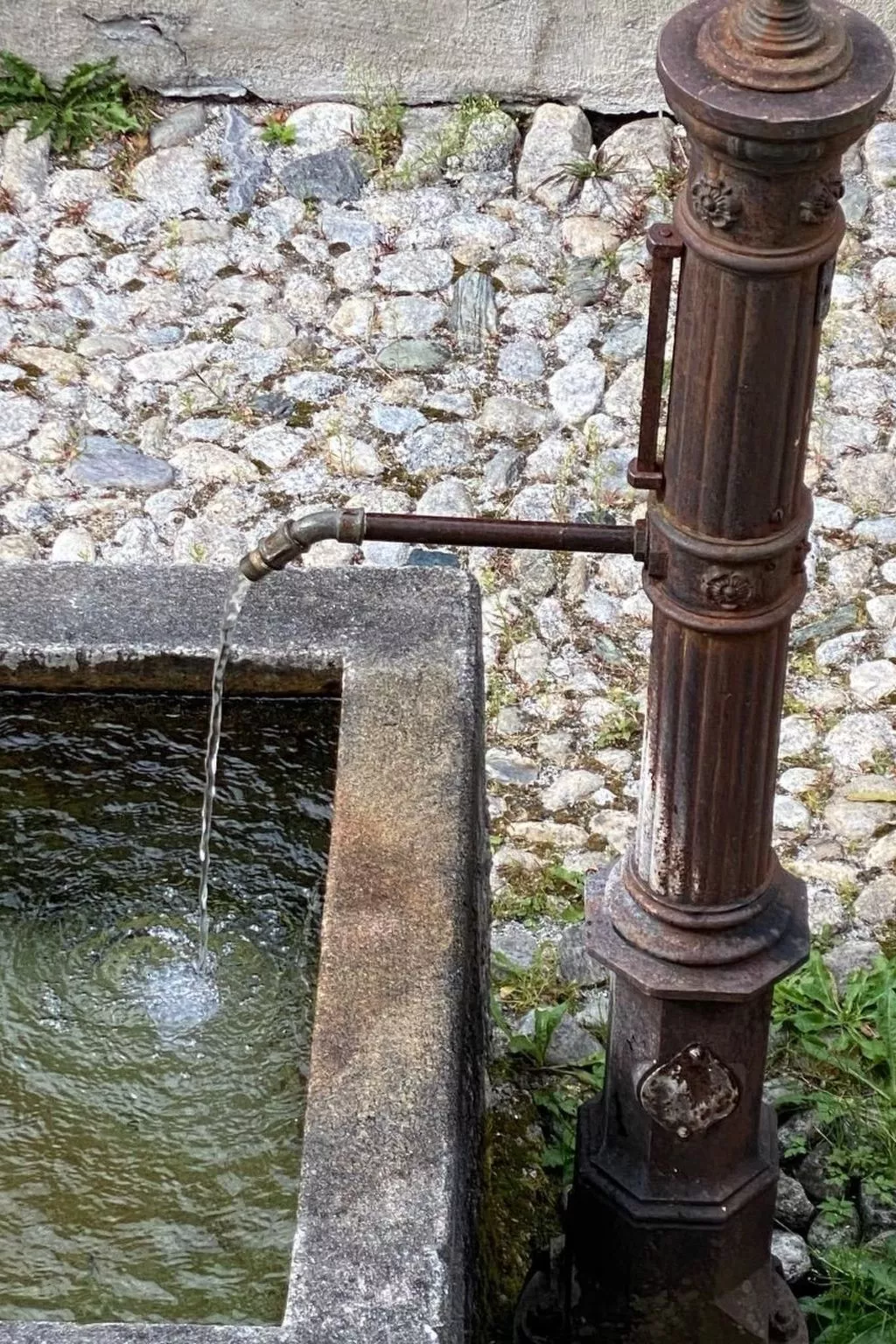 Cad Ciävra - Image-tags.info