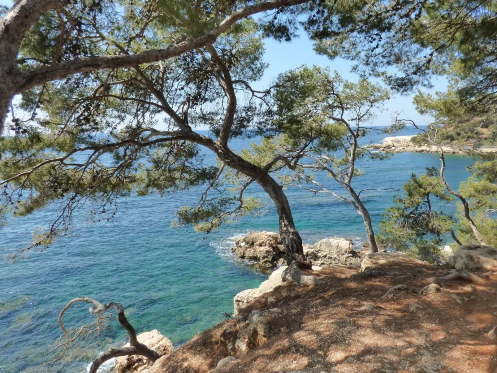 Provenzalisches Landhaus am Meer in ruhiger Lage. - Image-tags.info