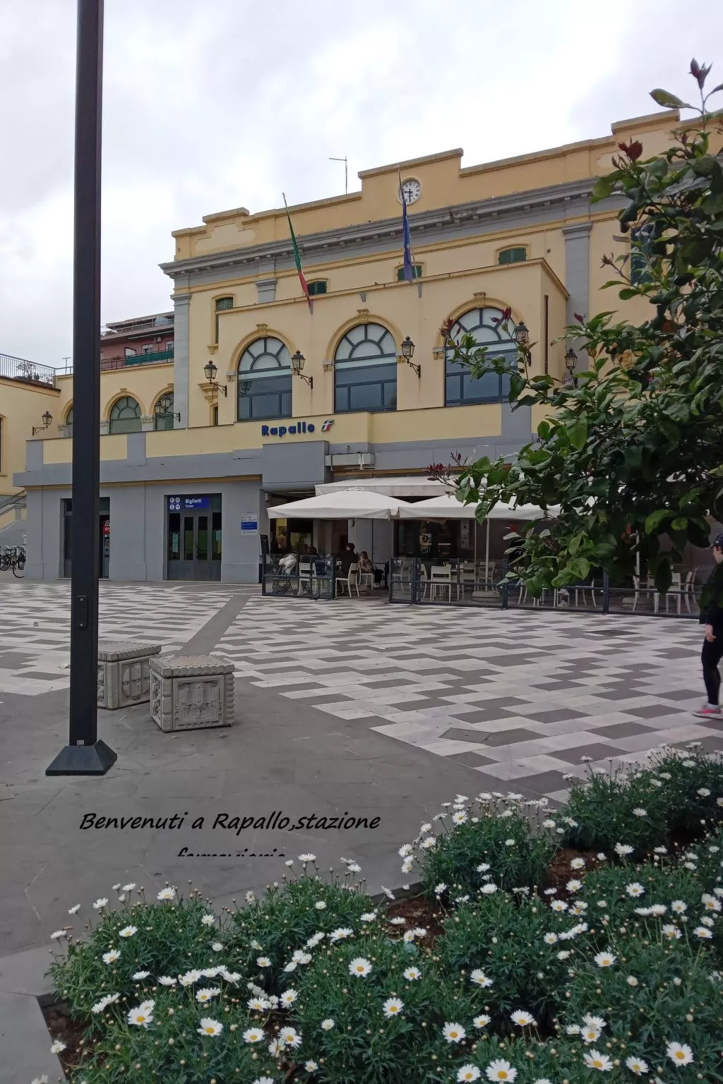 Seestern - Image-tags.info