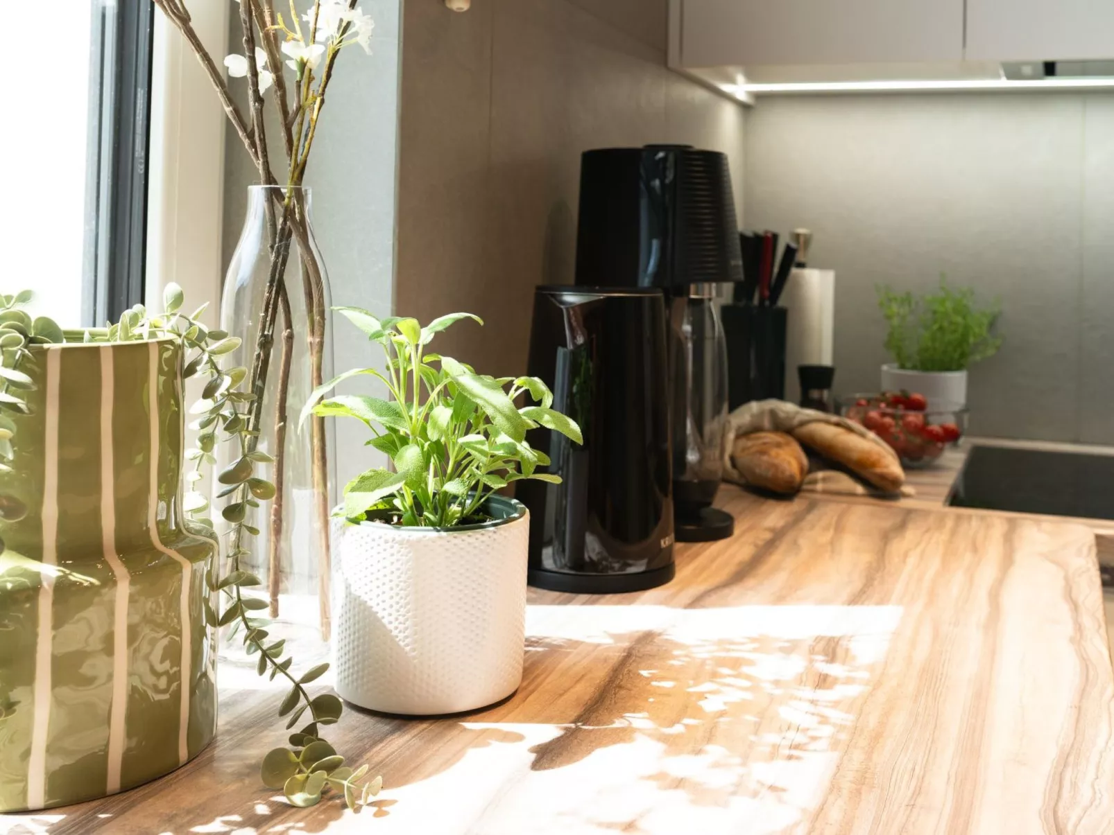 House 756 Mainz - Image-tags.info