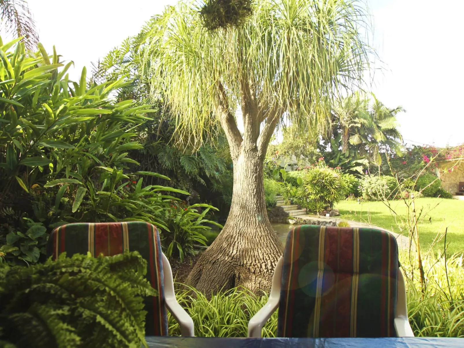 Finca Tocama - Image-tags.info