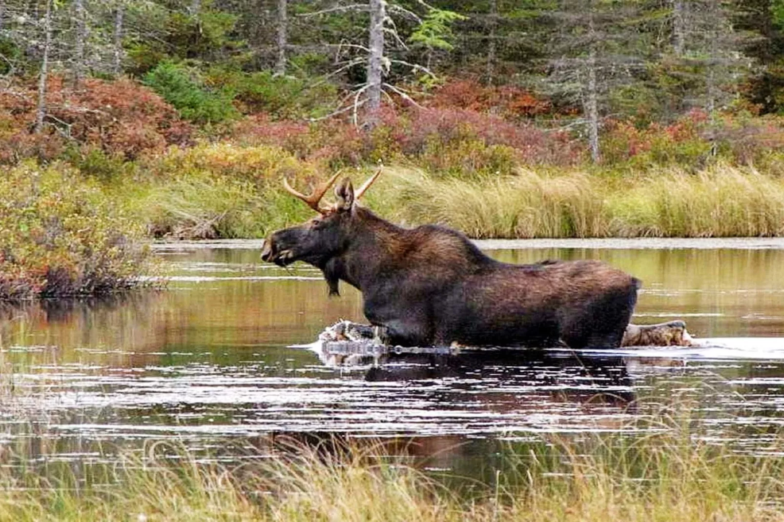 9 person holiday home in KÄLARNE-Untagged