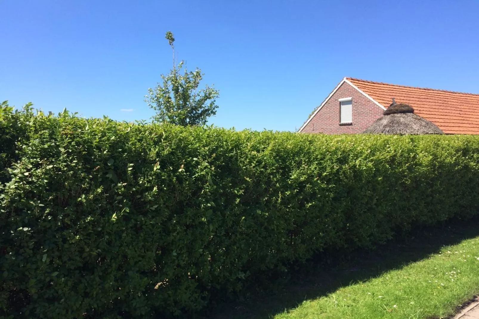 112041-Gardens in summer