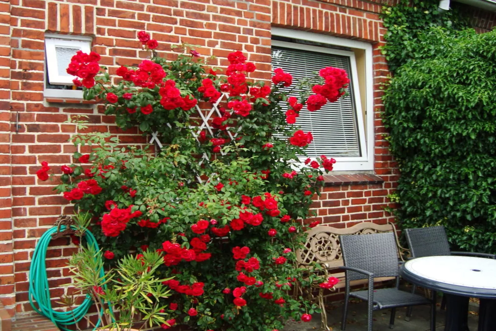 8361-Terrasse / balcon