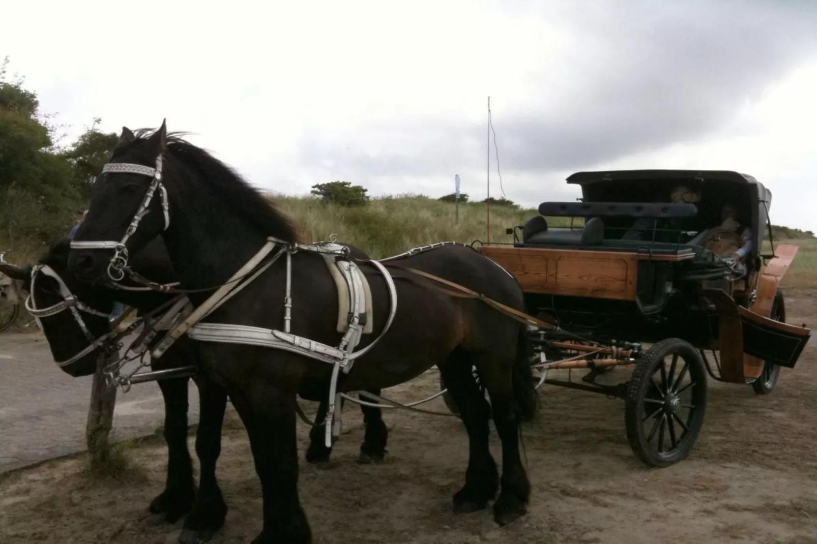 249875-Gebiete Sommer 5 km