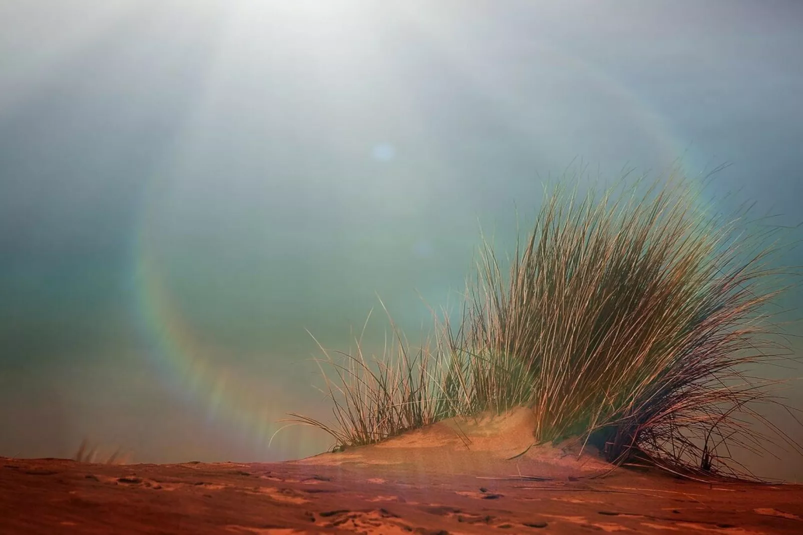 67704-Areas within 5km in summer