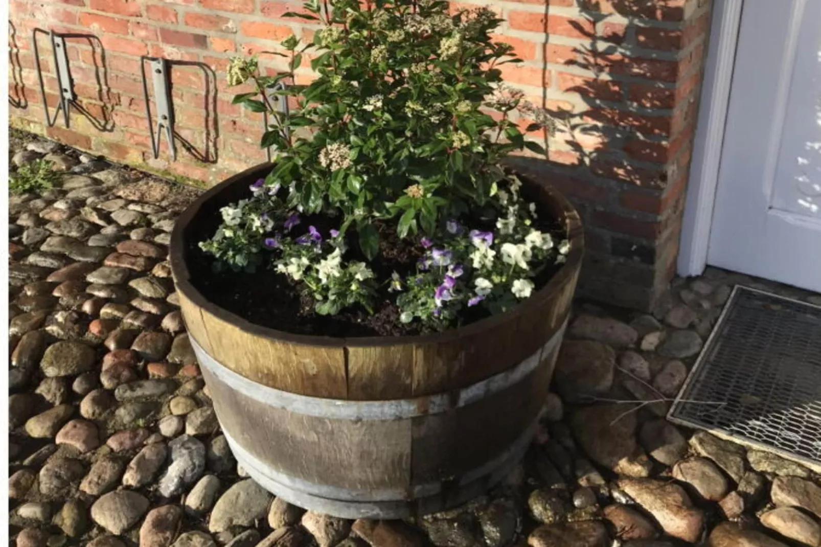 226059-Exterior in summer