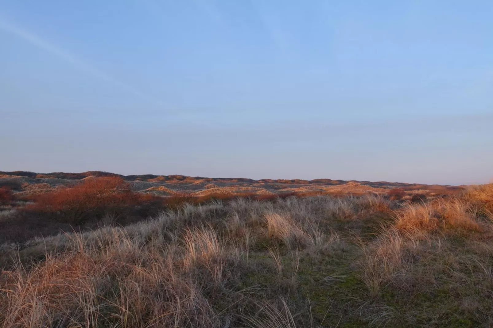 166902-Zones été à 5 km