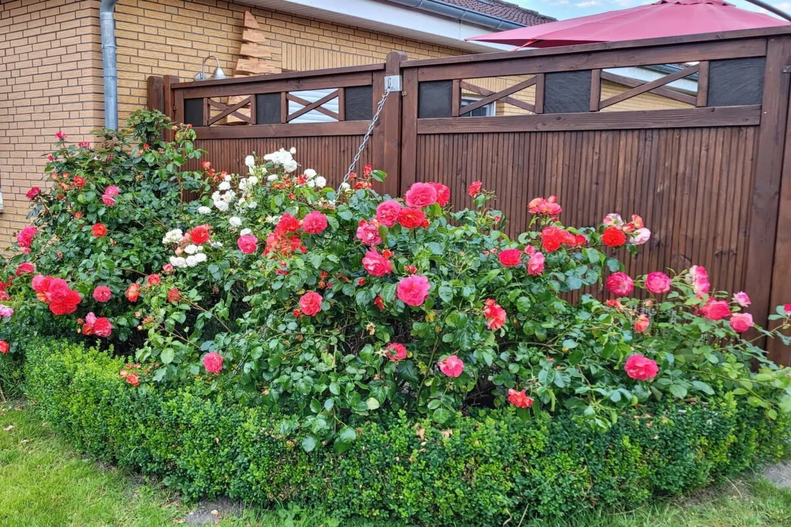 467005-Gardens in summer