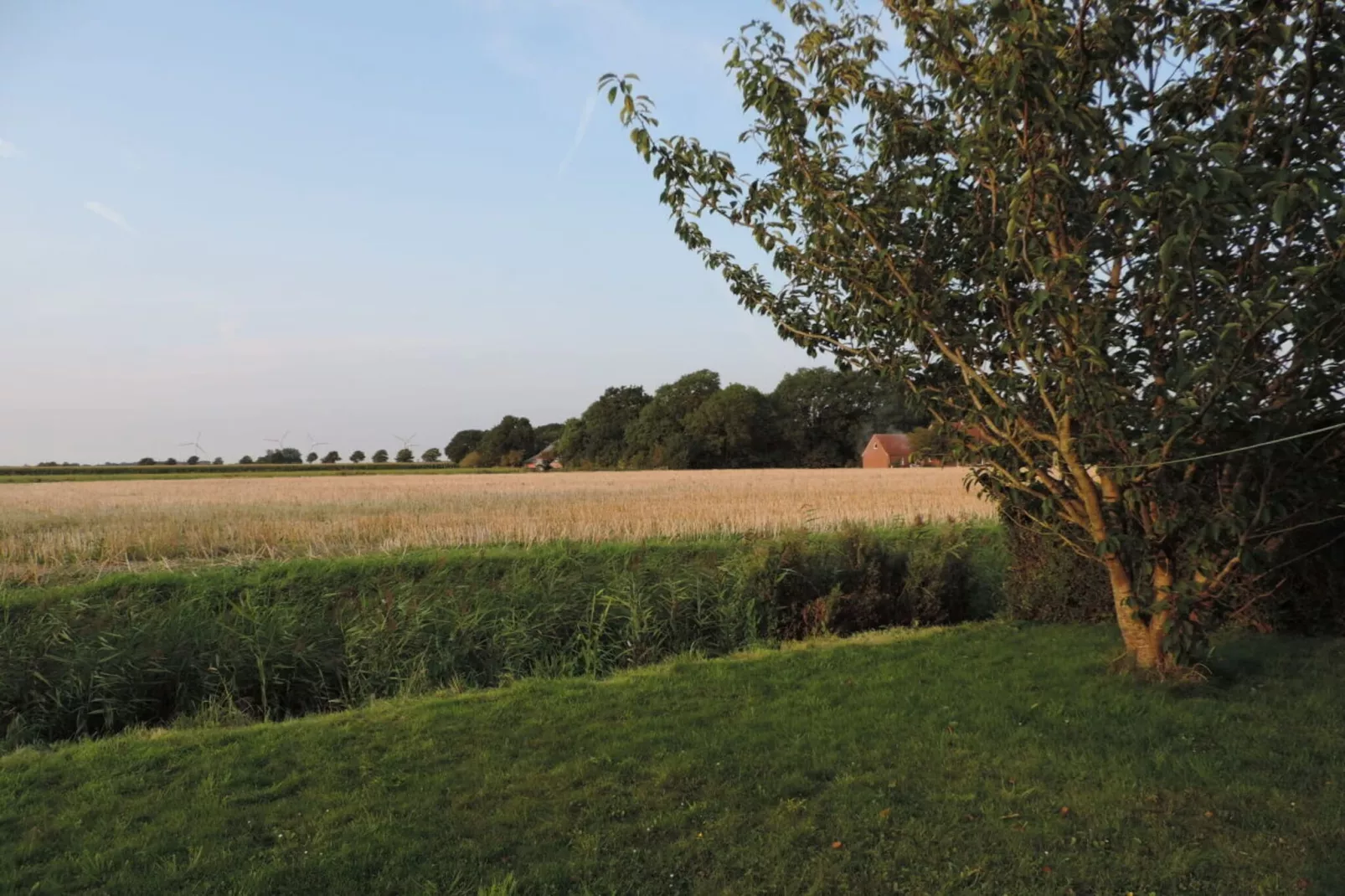 79433-Gardens in summer