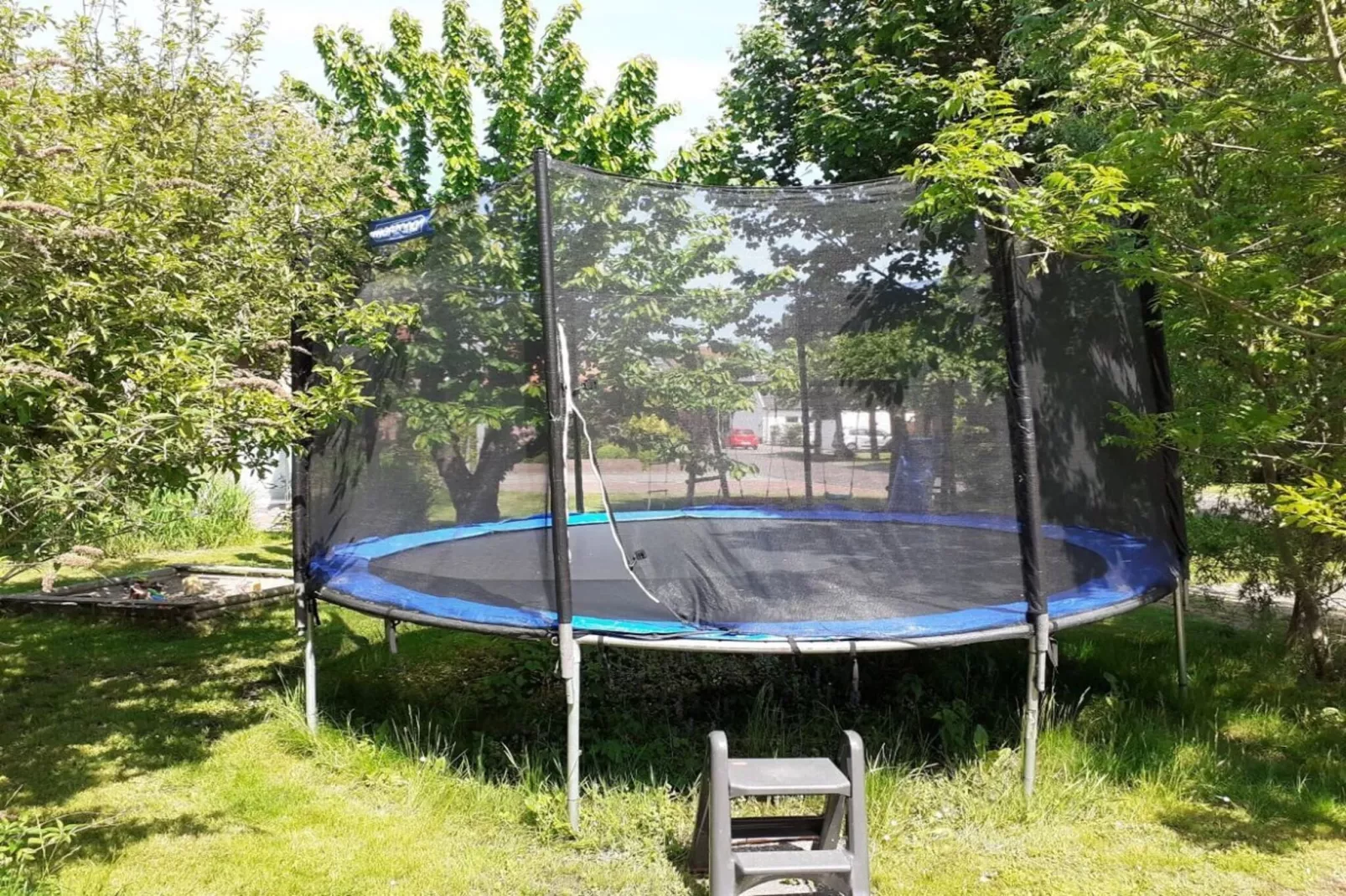 81762-Gardens in summer