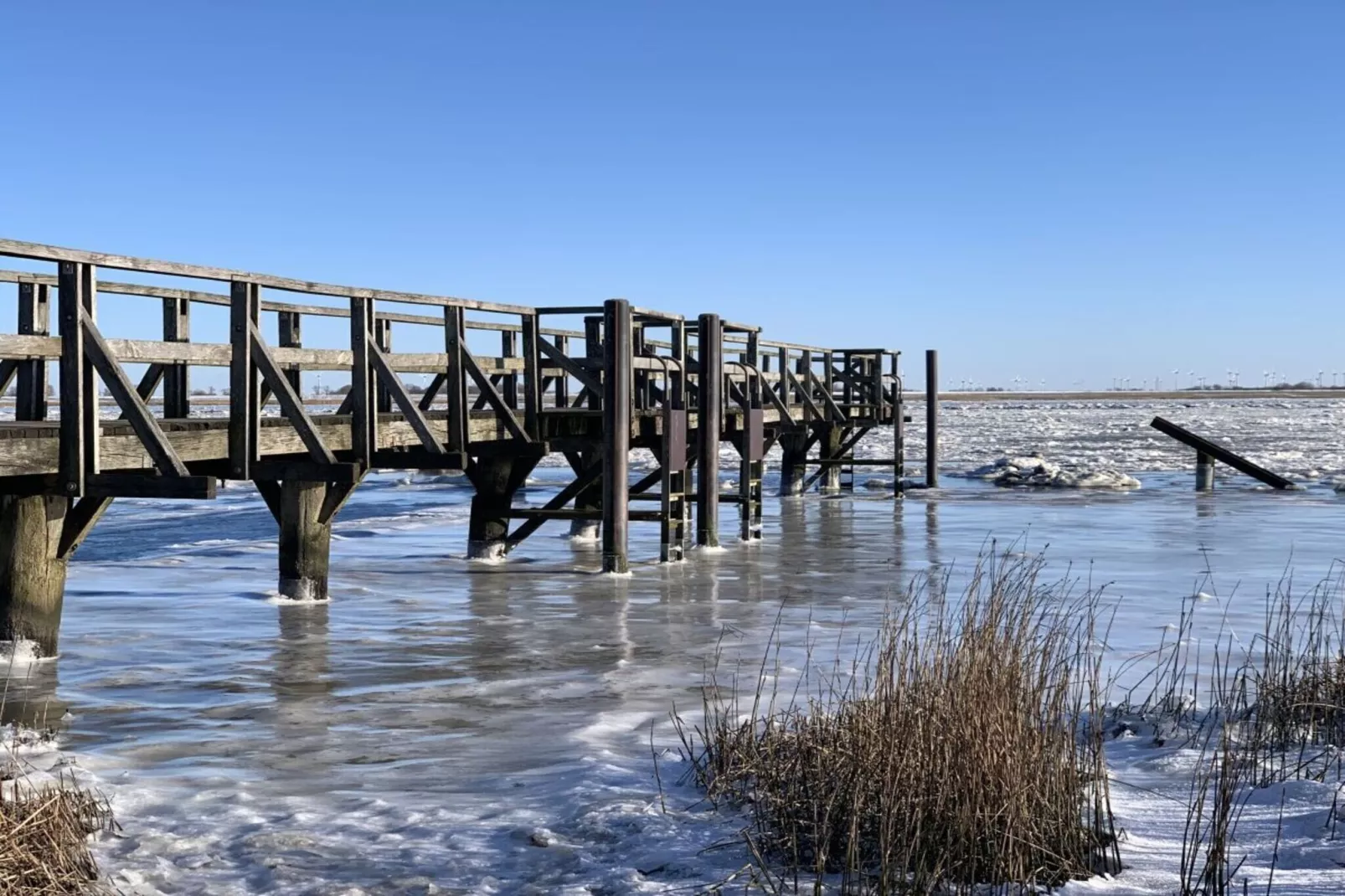 386347-Areas within 5km in summer