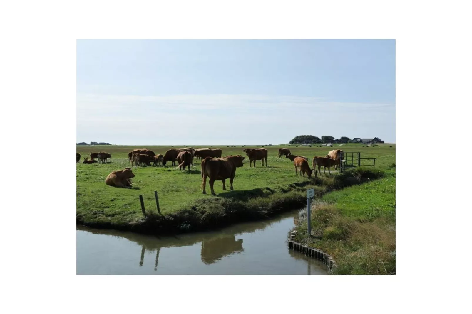 487221-Gebiete Sommer 5 km