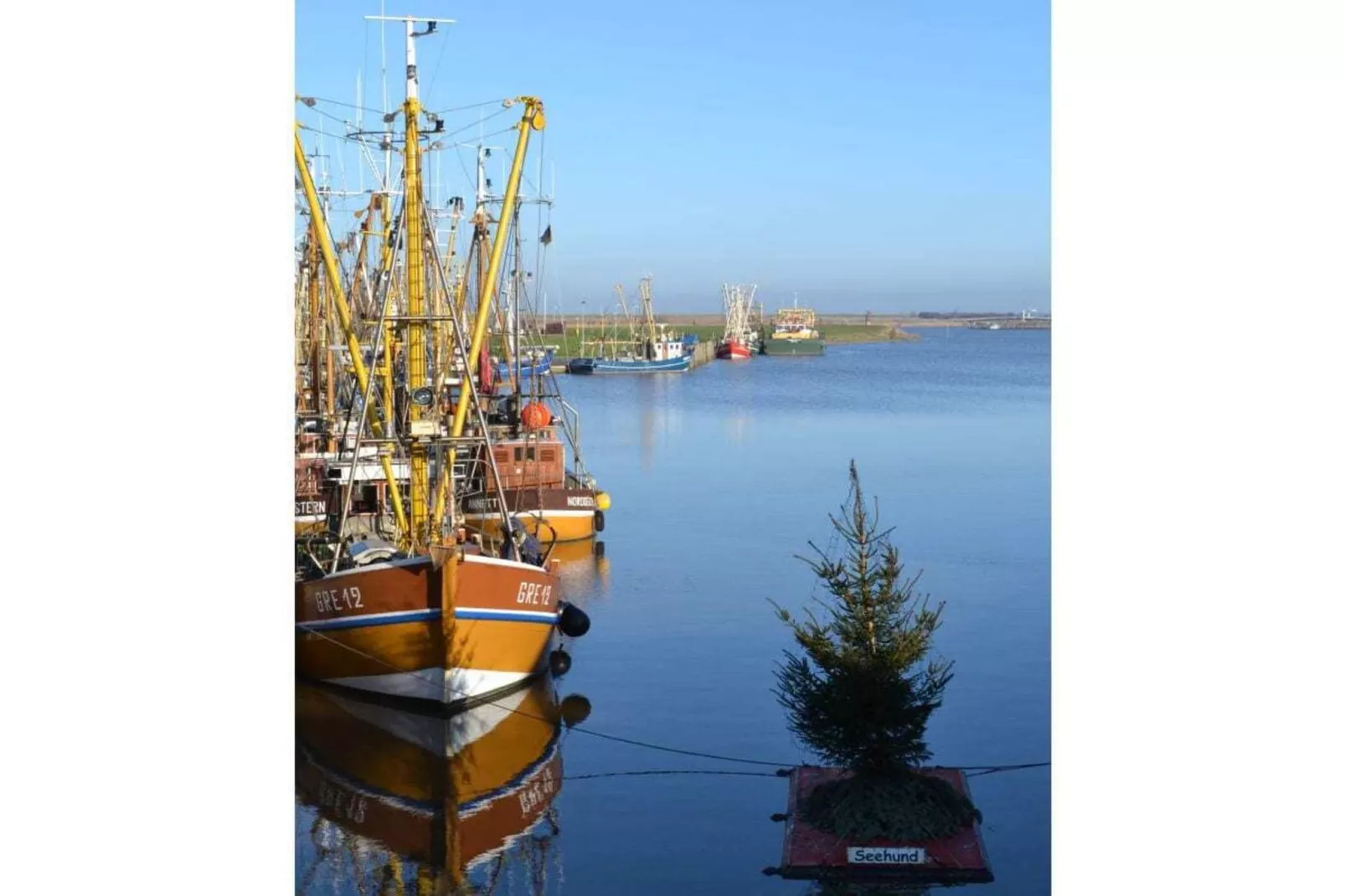 184619-Areas within 5km in summer