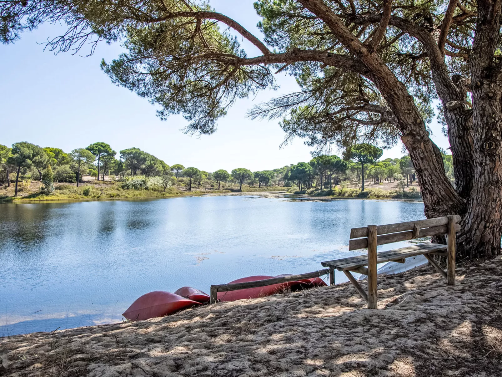 Villa Cegonha - Draußen