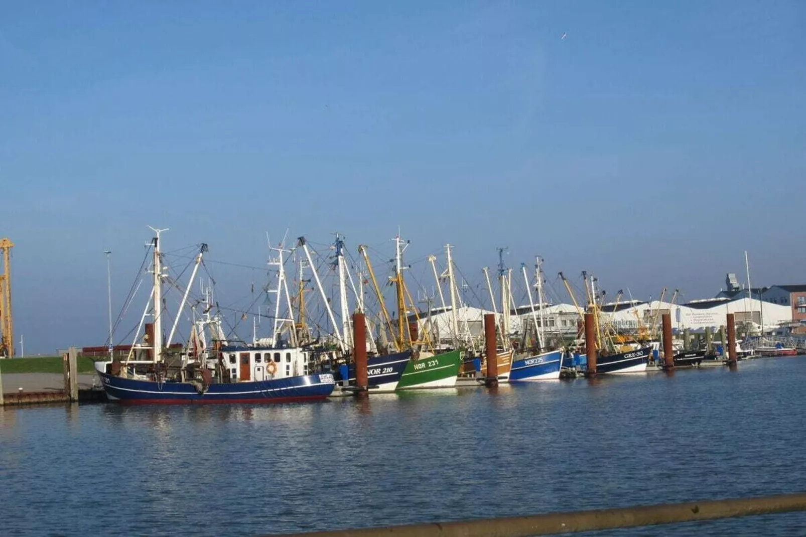 50151-Gebiete Sommer 5 km