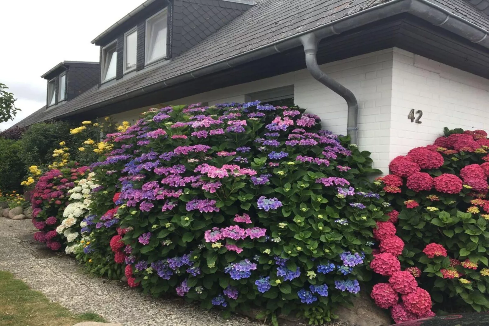 283745-Extérieur été