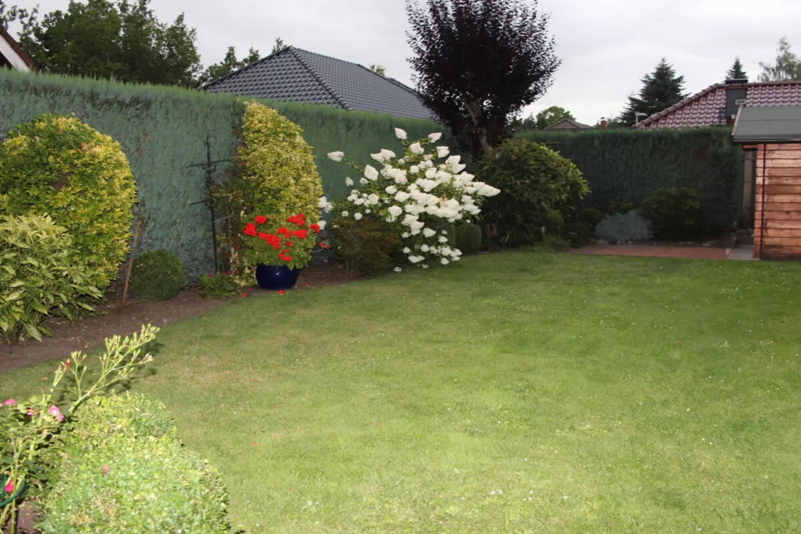 109045-Jardins en été