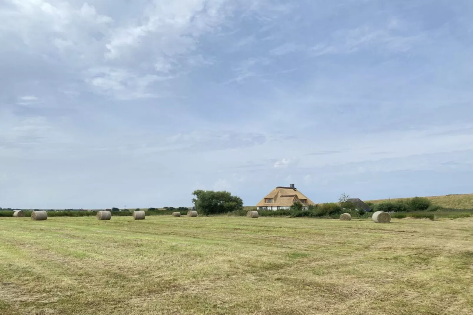 579042 - Außenbereich Sommer