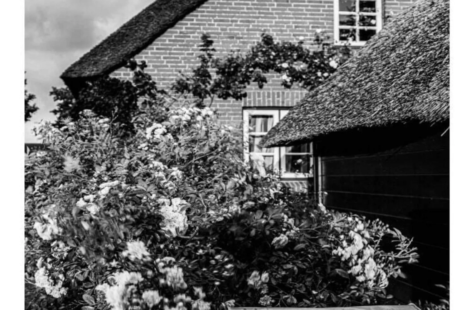 573535 - Extérieur été