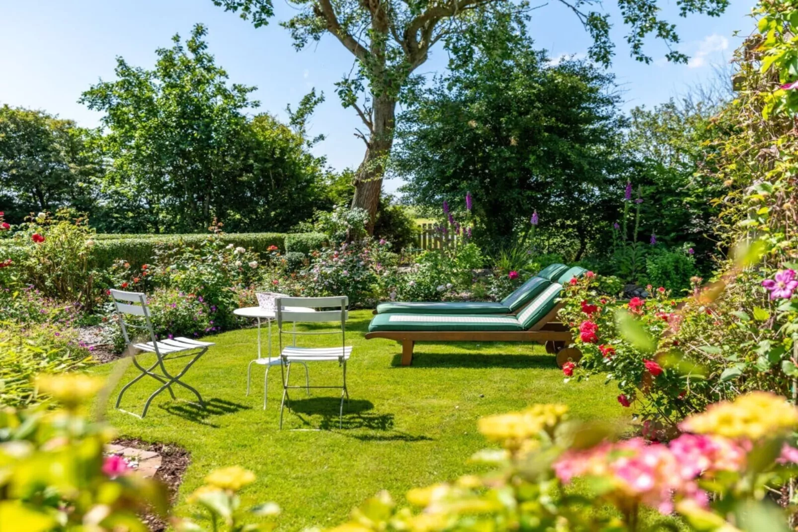 612329-Gardens in summer