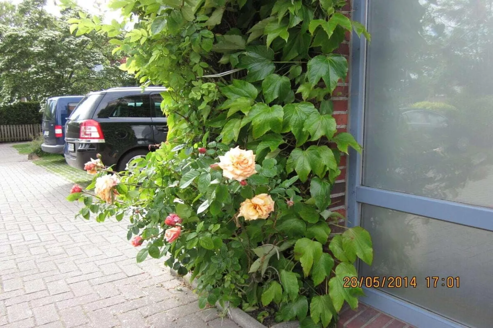 90280 - Jardins en été