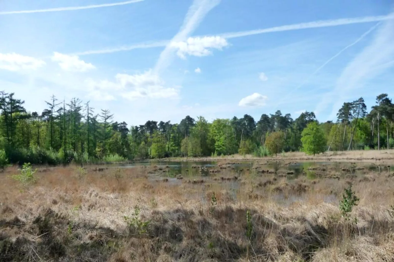 Sun Lodges - 6p-Gebiete Sommer 5 km