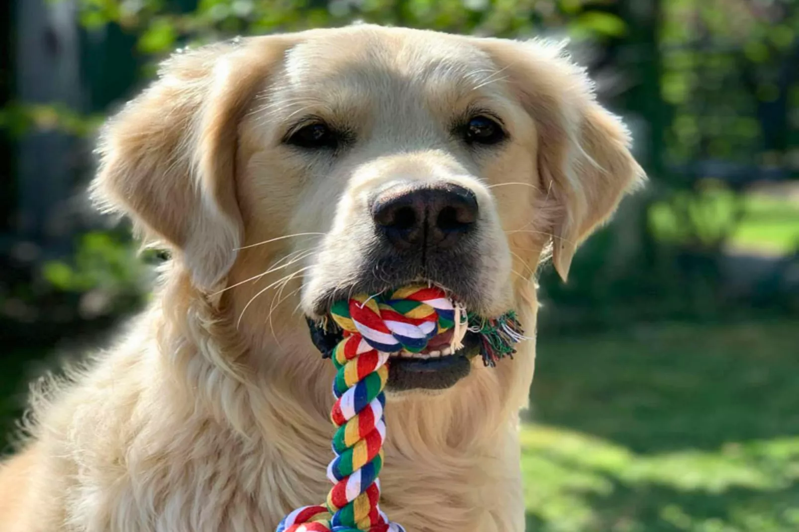 Jeamai’s Pension-Ambiente