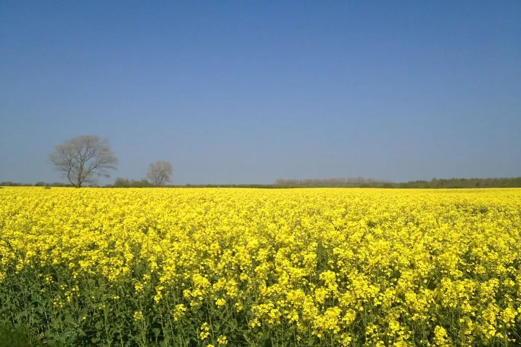 101641-Nicht zugeordnet