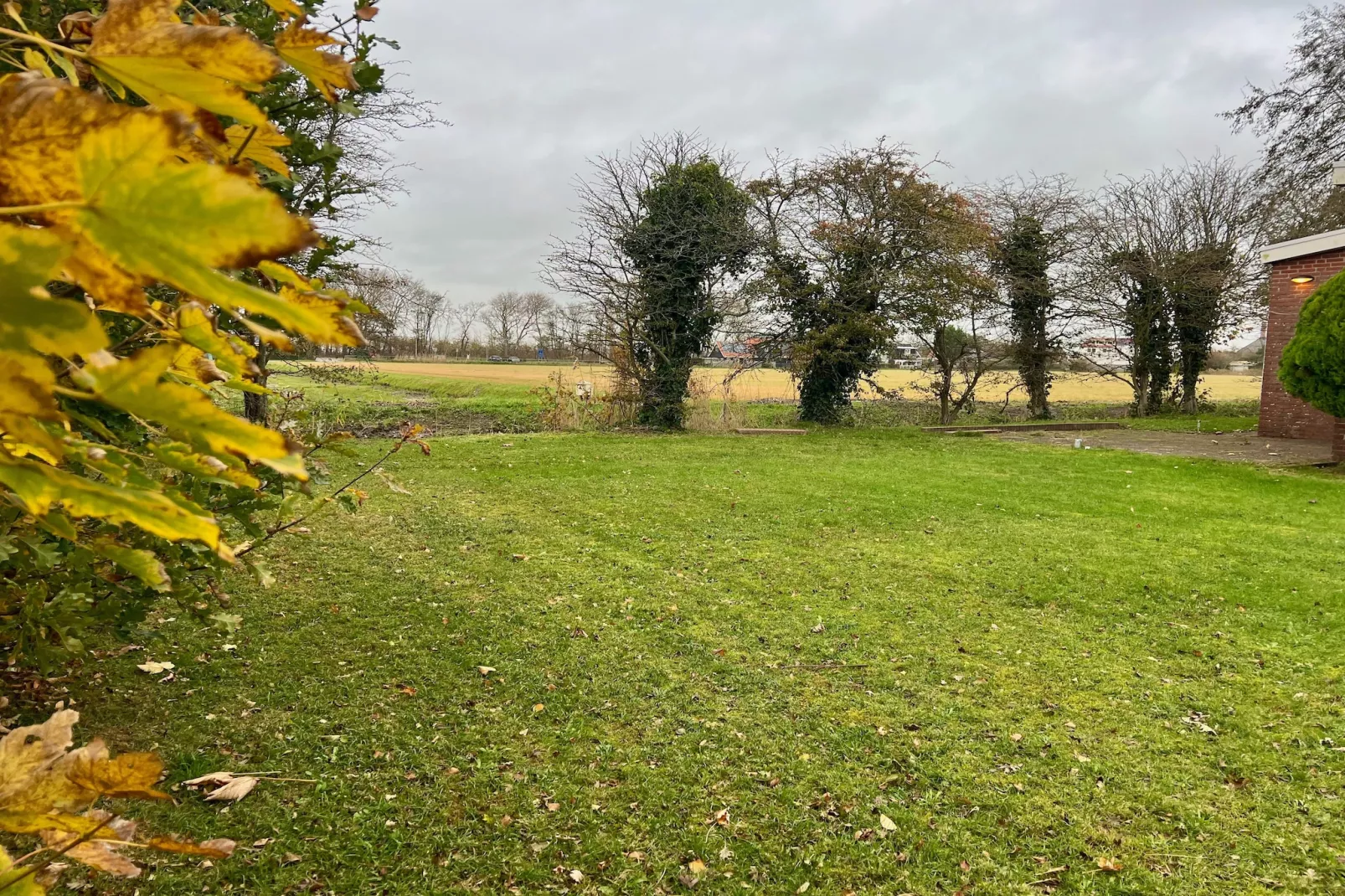 Eureka 102 (copy)-Jardins en été