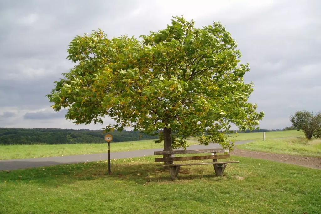 103955-Nicht zugeordnet