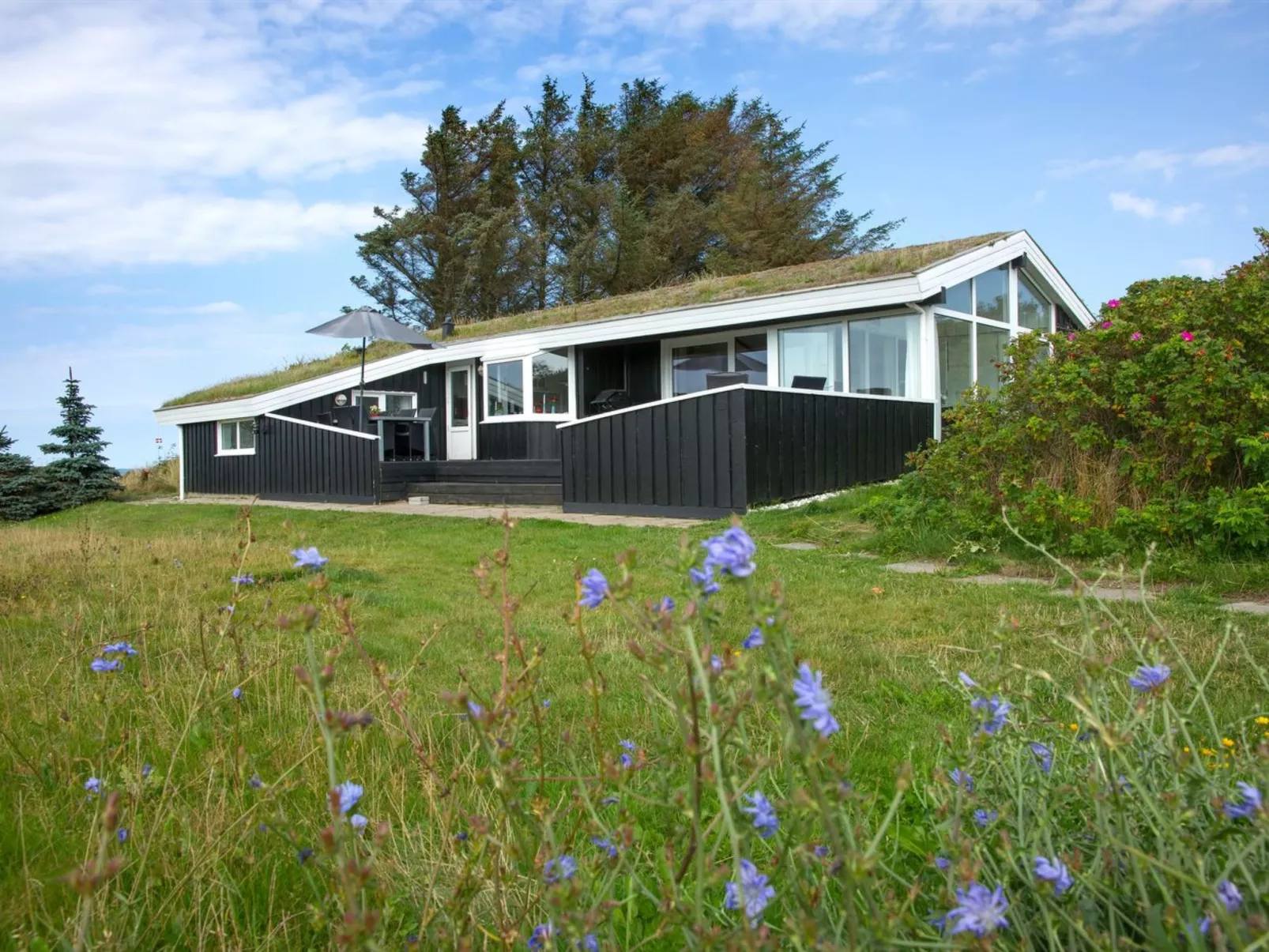 "Eeske" - 1km from the sea - Outside