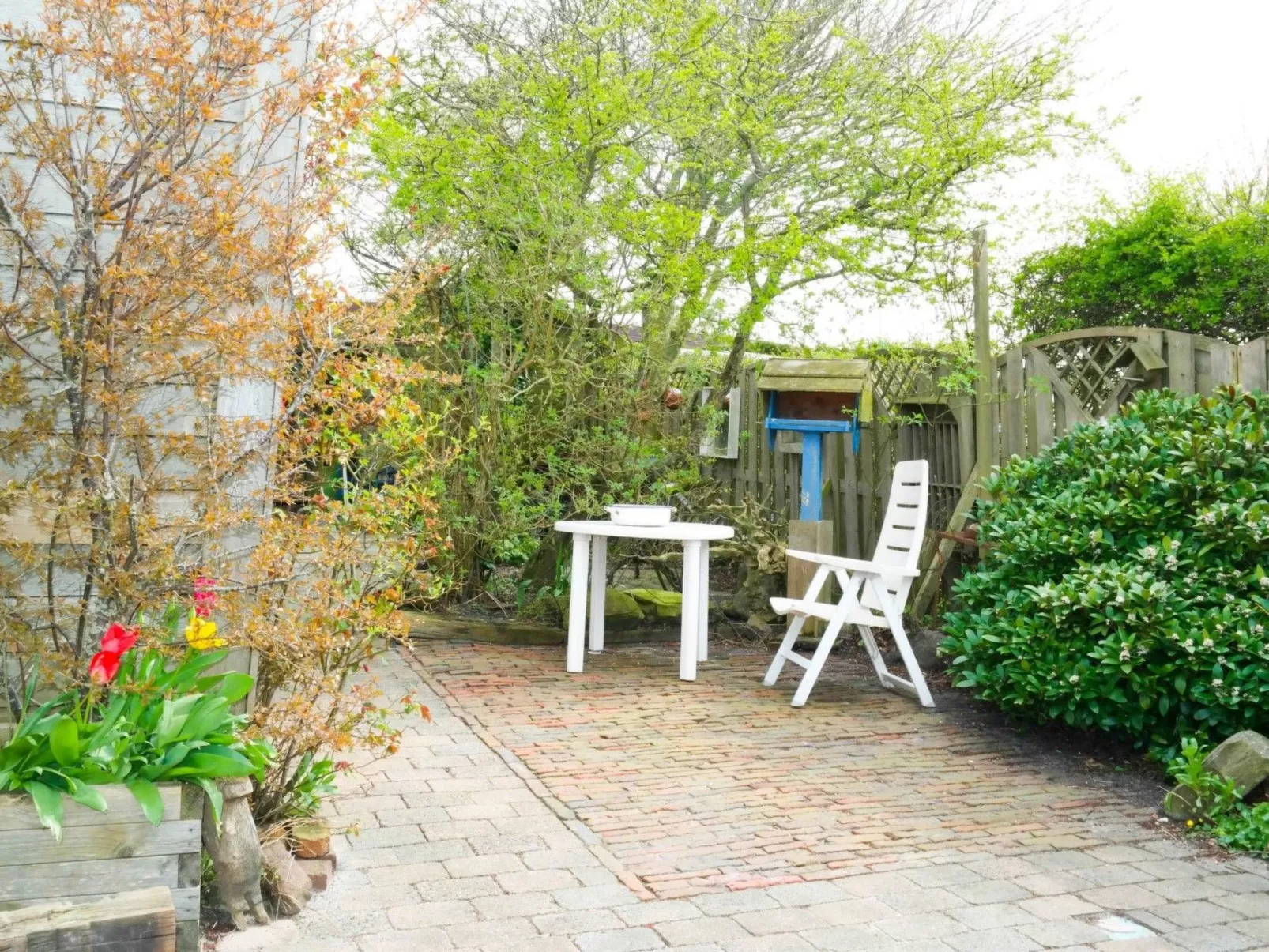 In Anjum mit Sauna, Garten und Terrasse - Image-tags.info