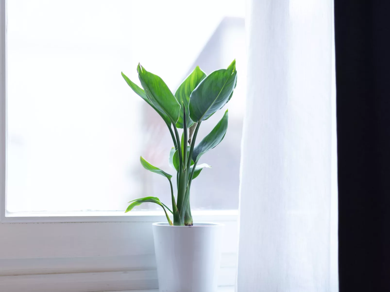 Apartment 54 - Dedans