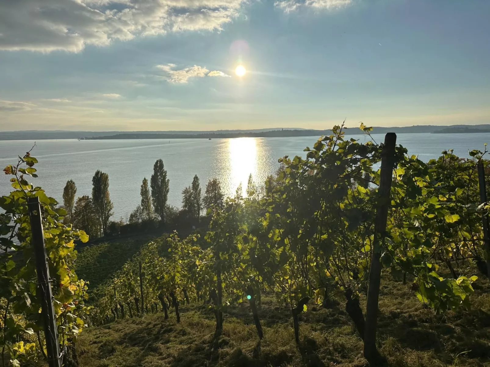 Wohnung B mit Balkon - Image-tags.info