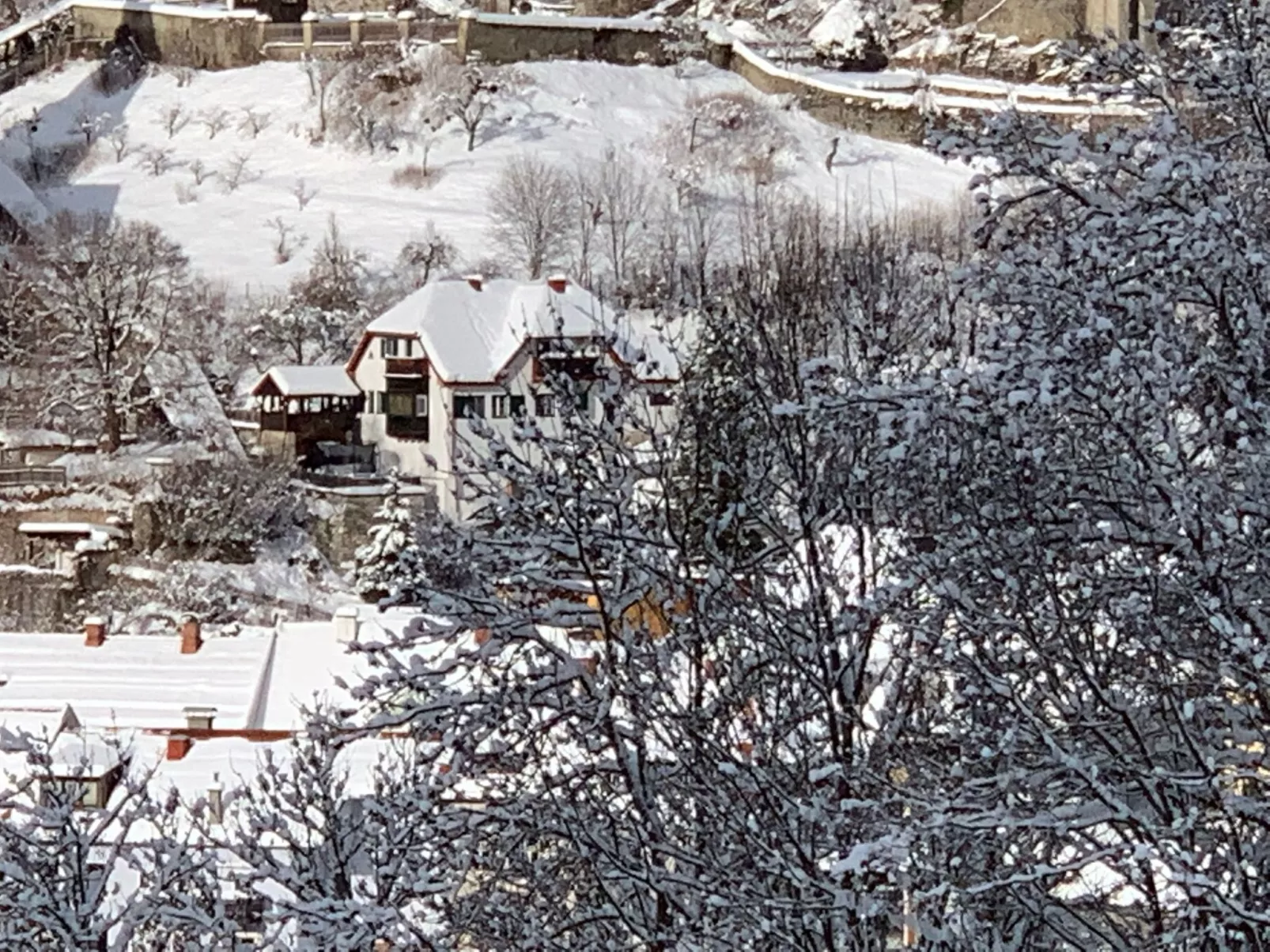 Chalet Elsa Murau - Draußen