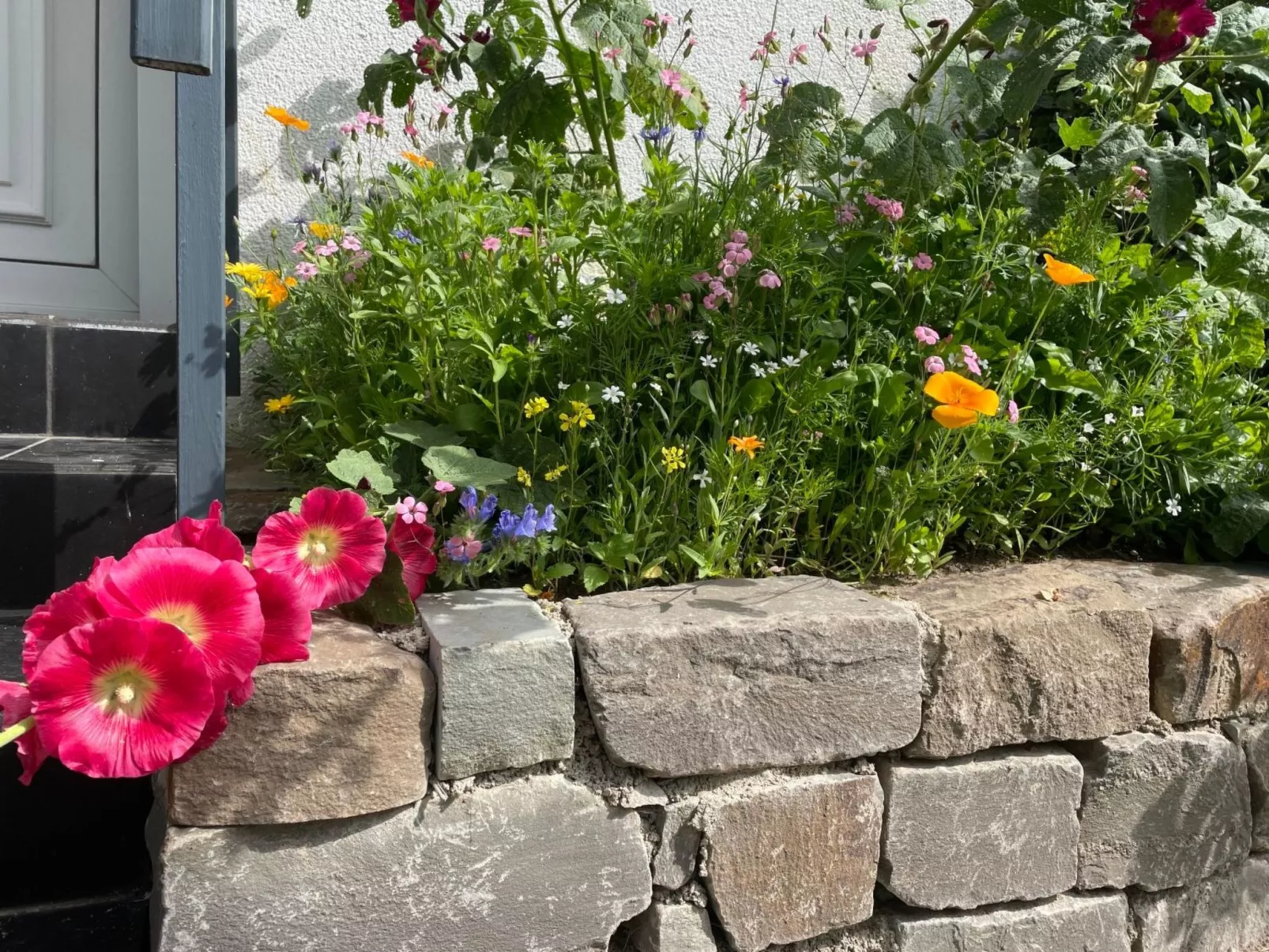 Annika-Image-tags.info