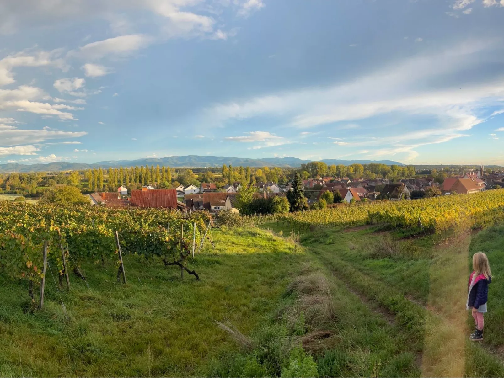 Am Weinberg - Image-tags.info