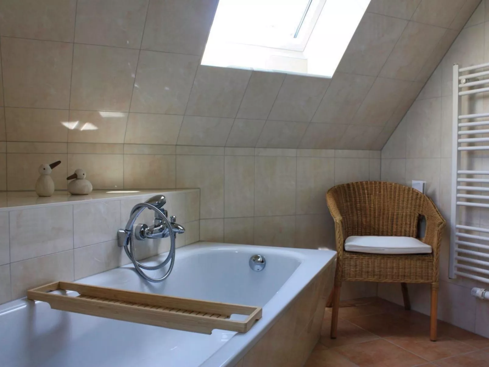 Sandregenpfeifer - Image-tags.info