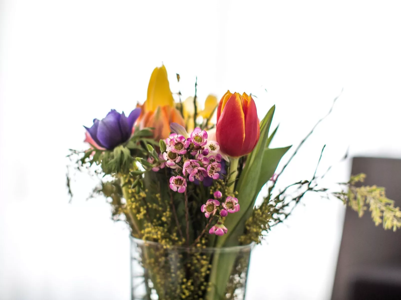 Pfänder - Image-tags.info