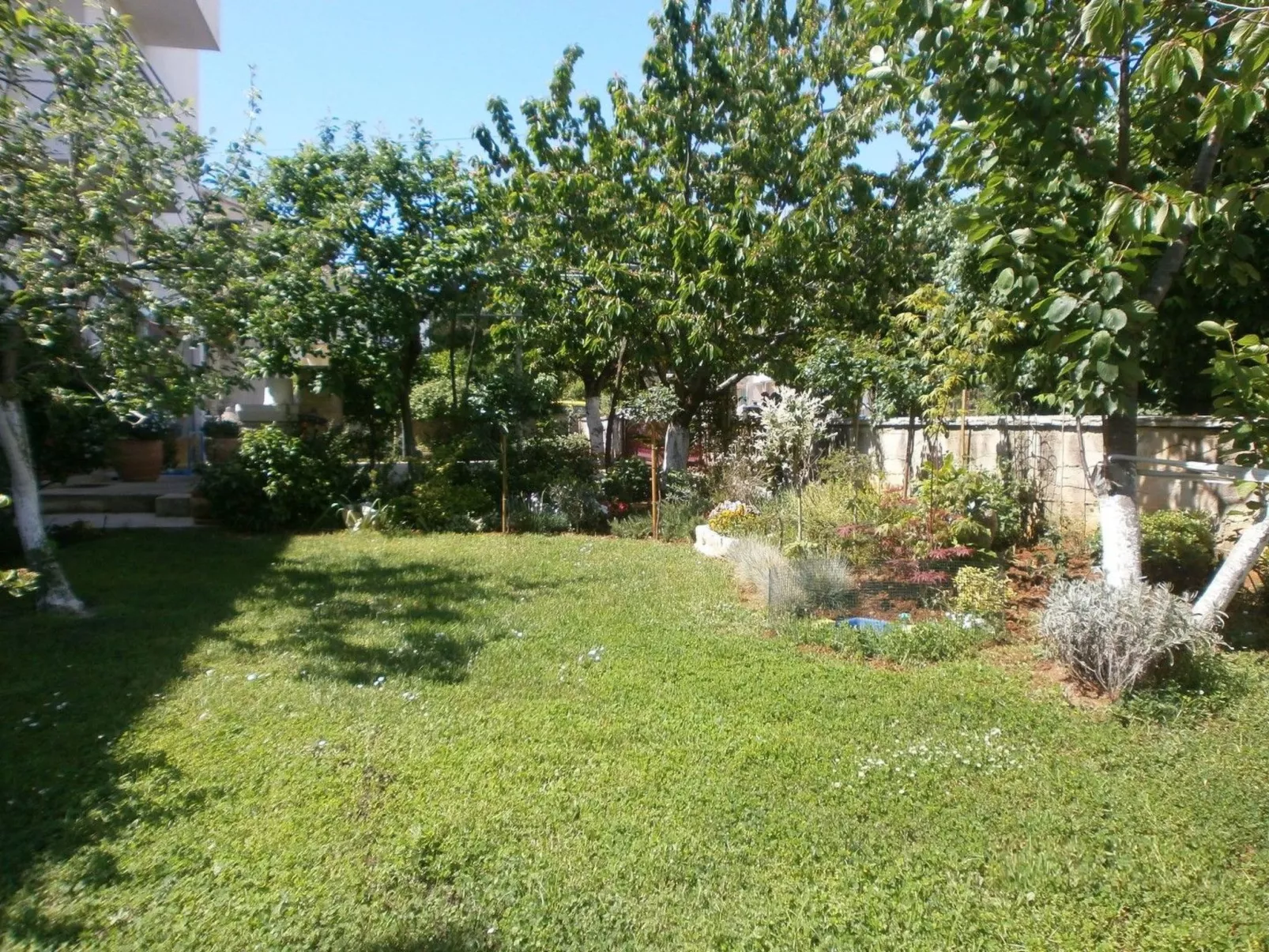 Villa Vrančić - Image-tags.info